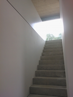 wp-002716.jpg